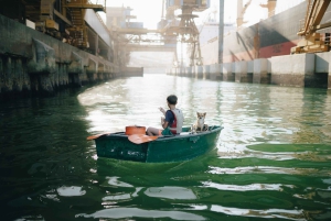 Rondvaart bij zonsondergang in Lissabon met lokale hapjes en drankjes