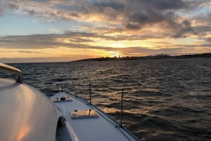Lissabon: Catamarancruise bij zonsondergang, muziek en open bar