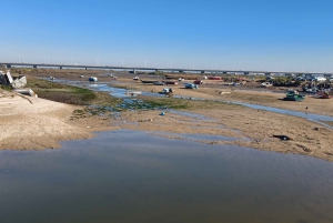 Lisbon: Tagus Estuary Nature Reserve Birdwatching Boat Tour