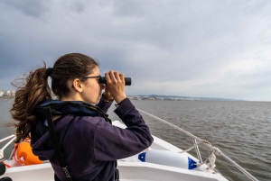 Lisbon: Tagus Estuary Nature Reserve Birdwatching Boat Tour