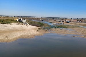 Lisbon: Tagus Estuary Nature Reserve Birdwatching Boat Tour