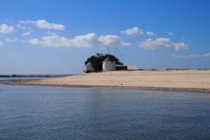 Lisbon: Tagus Estuary Nature Reserve Birdwatching Boat Tour