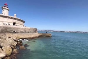 Lisbon: Tagus River Cruise to the Ocean & Dolphin Watching