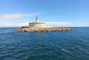 Lisbon: Tagus River Cruise to the Ocean & Dolphin Watching