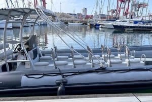 Lisboa: Hurtigbåt-eventyr på Tejo-elven med marint dyreliv