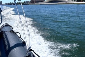 Lisboa: Hurtigbåt-eventyr på Tejo-elven med marint dyreliv