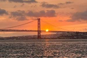 Lisboa: Hurtigbåt-eventyr på Tejo-elven med marint dyreliv