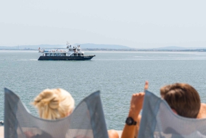 Lisboa: Cruzeiro de Ano Novo no Rio Tejo com DJ ao vivo