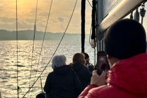 Lisboa: Cruzeiro no Rio Tejo ao pôr do sol com bebidas