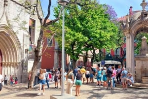 Lisbon: History Walking Tour with Local Guide