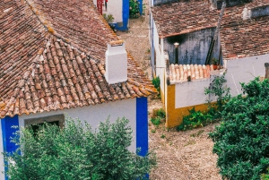 Lissabon: til Porto eller omvendt Dagstur med op til 3 stop