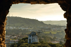 Lissabon: til Porto eller omvendt Dagstur med op til 3 stop