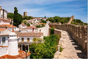 Lissabon till Porto med upp till 4 stopp: Óbidos, Nazaré, Fátima och Aveiro