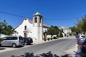 Lisbon to Wine Tasting Setubal, Two Cellars, Half Day Tour