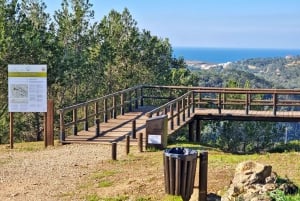 Lissabon: Wellingtons Verteidigungslinien Tour