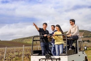 Lisbona: Esperienza di cantina con tour in fuoristrada e degustazione di vini