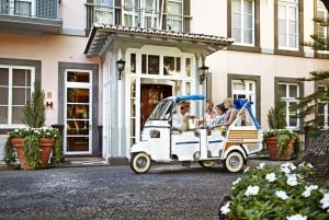 Lisbon's historic old town in a tuk-tuk in German