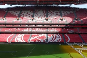 Lisbon: Benfica Luz Stadium Tour with Souvenir Scarf