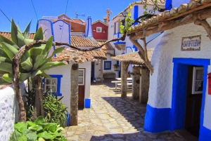 Mafra, Ericeira Private Tour from Lisbon