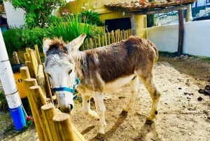 El legado de Mafra a un pueblo tradicional y paraíso de los surfistas