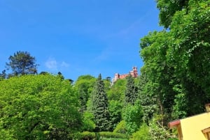 Magische Tagestour: Pena Palace, Sintra, CaboDa Roca & Cascais