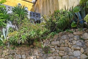 Magische Tagestour: Pena Palace, Sintra, CaboDa Roca & Cascais