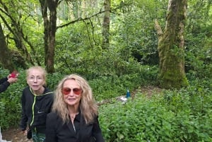 Magische Tagestour: Pena Palace, Sintra, CaboDa Roca & Cascais