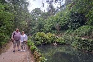 Magische Tagestour: Pena Palace, Sintra, CaboDa Roca & Cascais