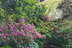 Magische Tagestour: Pena Palace, Sintra, CaboDa Roca & Cascais