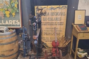 Magische Tagestour: Pena Palace, Sintra, CaboDa Roca & Cascais