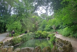 Magische Tagestour: Pena Palace, Sintra, CaboDa Roca & Cascais