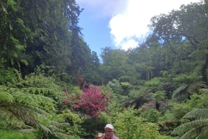 Magical Day Trip: Pena Palace, Sintra, CaboDa Roca & Cascais