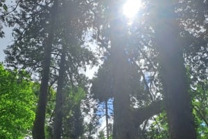 Magical Day Trip: Pena Palace, Sintra, CaboDa Roca & Cascais