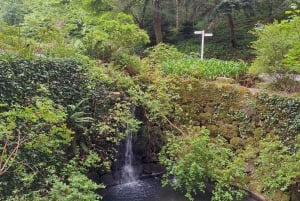 Magical Day Trip: Pena Palace, Sintra, CaboDa Roca & Cascais