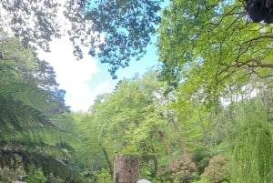 Magical Day Trip: Pena Palace, Sintra, CaboDa Roca & Cascais