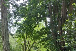 Magical Day Trip: Pena Palace, Sintra, CaboDa Roca & Cascais