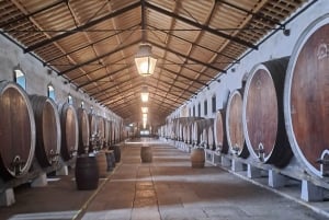 Magical Day Trip: Pena Palace, Sintra, CaboDa Roca & Cascais