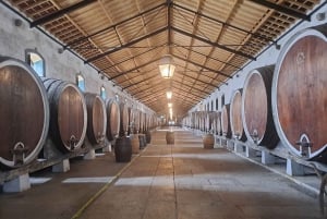 Magical Day Trip: Pena Palace, Sintra, CaboDa Roca & Cascais