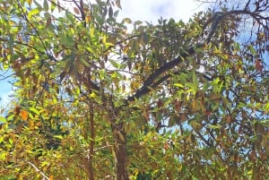 Magical Day Trip: Pena Palace, Sintra, CaboDa Roca & Cascais