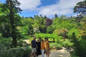 Magical Day Trip: Pena Palace, Sintra, CaboDa Roca & Cascais