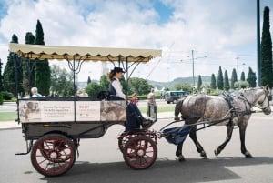 Lisbon MegaPass : principales attractions, croisières et transports