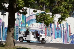 Lisbon: Street Art TukTuk Tour