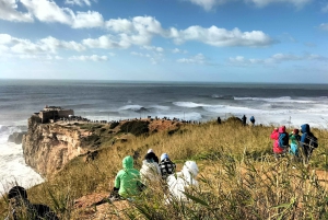 Nazaré (Onde Giganti): Tour di mezza giornata privato da Lisbona
