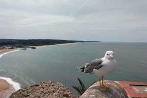 Nazaré (Onde Giganti): Tour di mezza giornata privato da Lisbona
