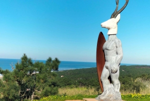 Nazaré (Onde Giganti): Tour di mezza giornata privato da Lisbona