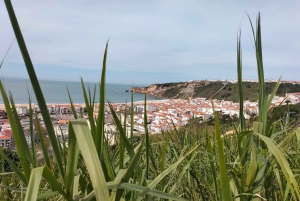 Nazaré (Onde Giganti): Tour di mezza giornata privato da Lisbona