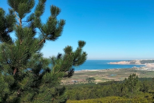 Nazaré (Onde Giganti): Tour di mezza giornata privato da Lisbona
