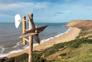 Nazaré (Onde Giganti): Tour di mezza giornata privato da Lisbona
