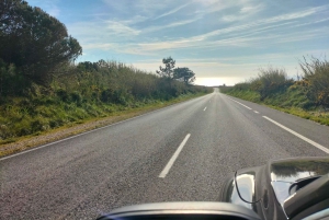 Nazaré (Onde Giganti): Tour di mezza giornata privato da Lisbona