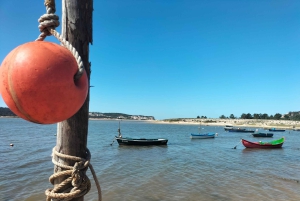 Óbidos (middelalderby): Privat halvdagstur fra Lisboa